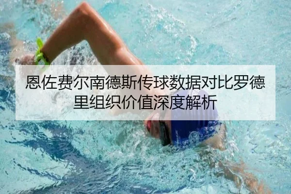 恩佐费尔南德斯传球数据对比罗德里组织价值深度解析