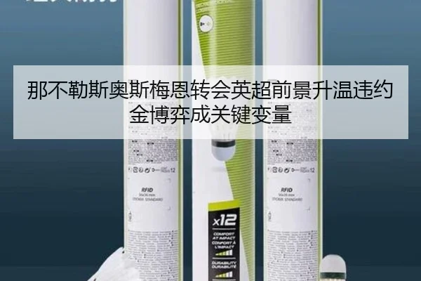 那不勒斯奥斯梅恩转会英超前景升温违约金博弈成关键变量